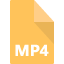 mp4